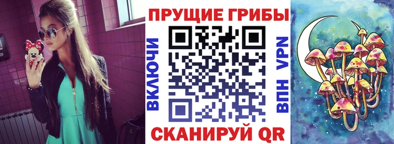 Галлюциногенные грибы мухоморы  Можга 