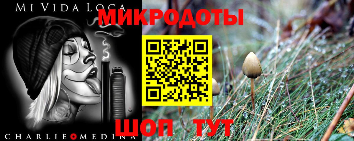 Псилоцибиновые грибы Psilocybine cubensis Можга