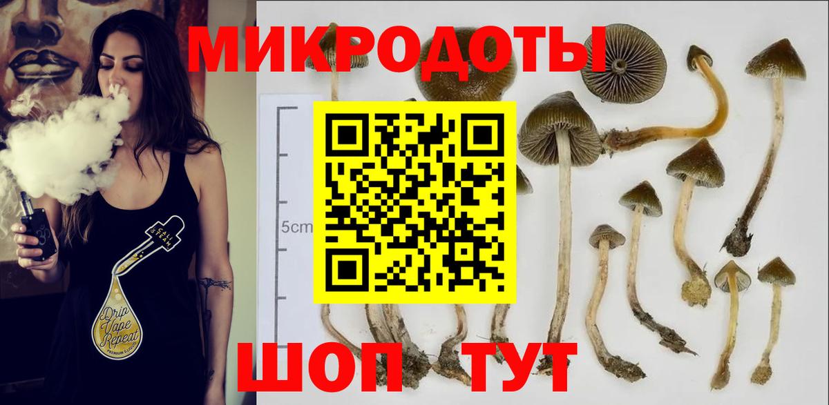 Псилоцибиновые грибы прущие грибы  Вход с VPN  Галлюциногенные грибы ЛСД  Можга 